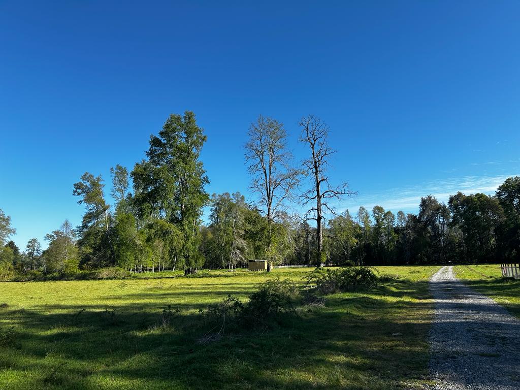 04c66099-8e3e-401b-8ba7-02d562915d0c