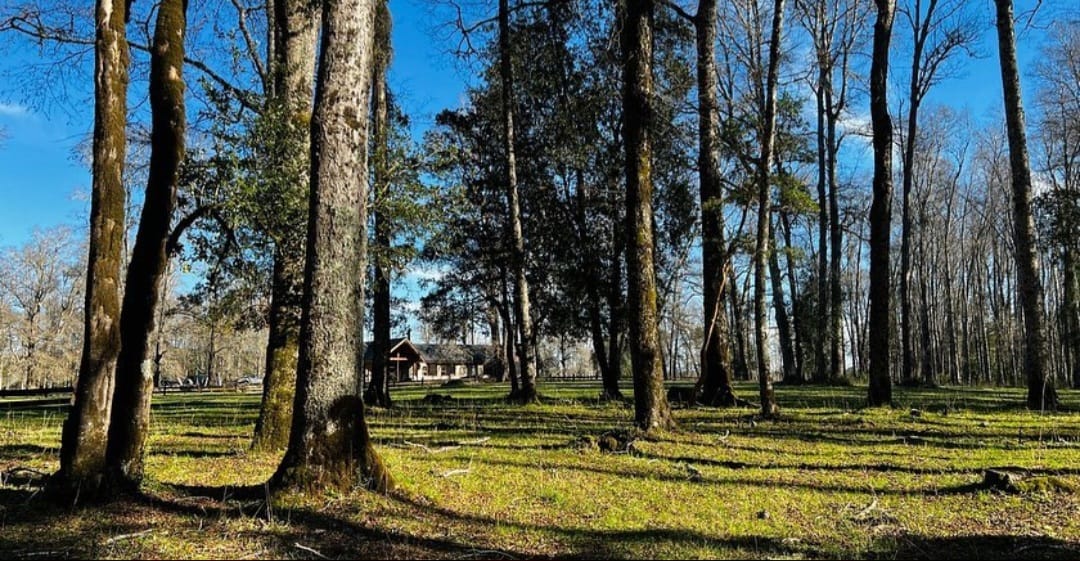 24d43135-f9f3-4f59-9b69-b4aafd7f7396