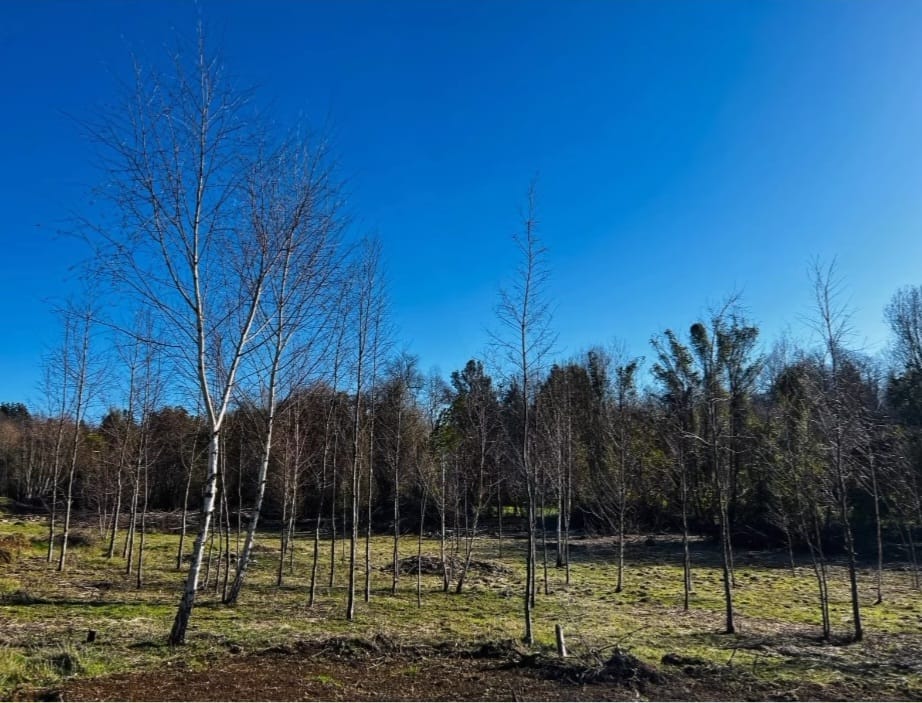 285c420e-41e0-4f05-b358-f9a3484b2a0d