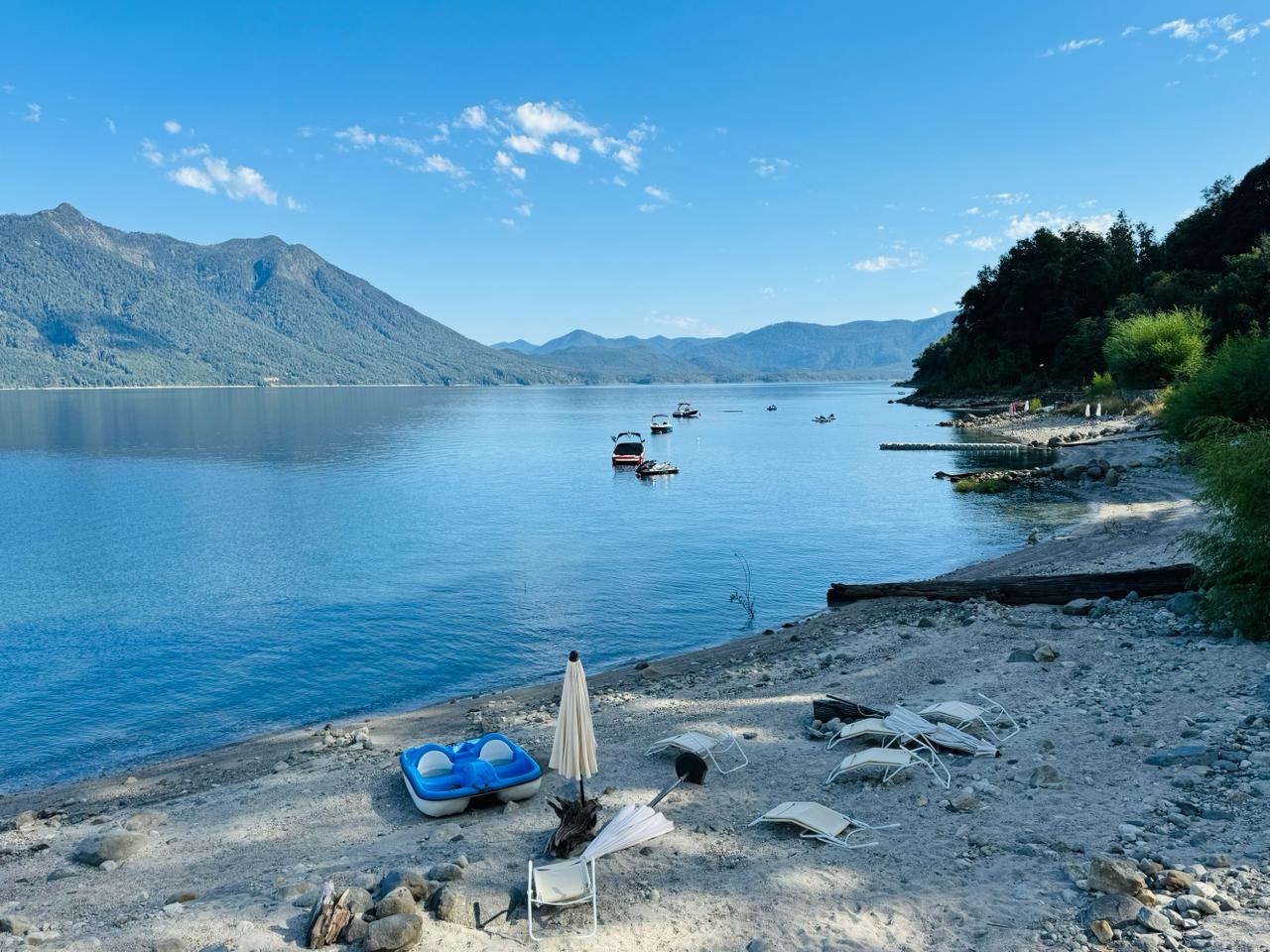 298e9c52-93e7-4810-8560-298cf4c0ee7f