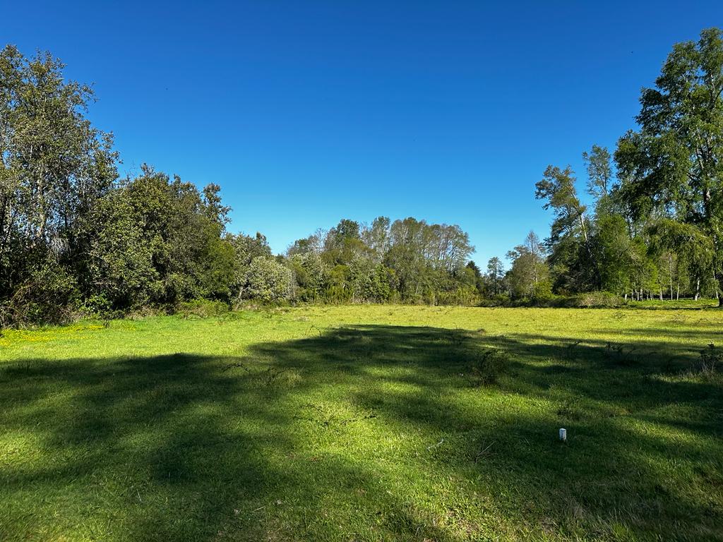 2e7e92e8-b29b-4267-864f-b213a2183781