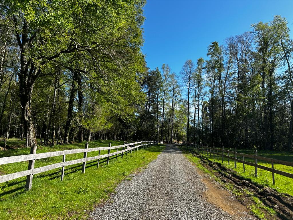 3372d0ea-9510-45c4-938b-4303baa8487f