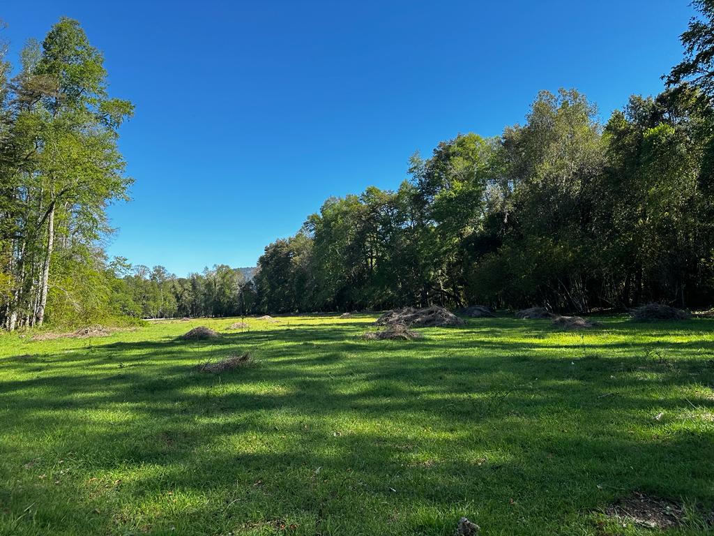 3f79b220-9469-42fe-8abd-cdf7993ec634