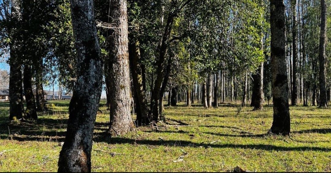 422816ae-3ce4-473a-a597-464659dca703