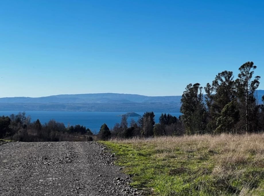 4638dbb7-84be-4d10-a9f1-4f130c8408c8