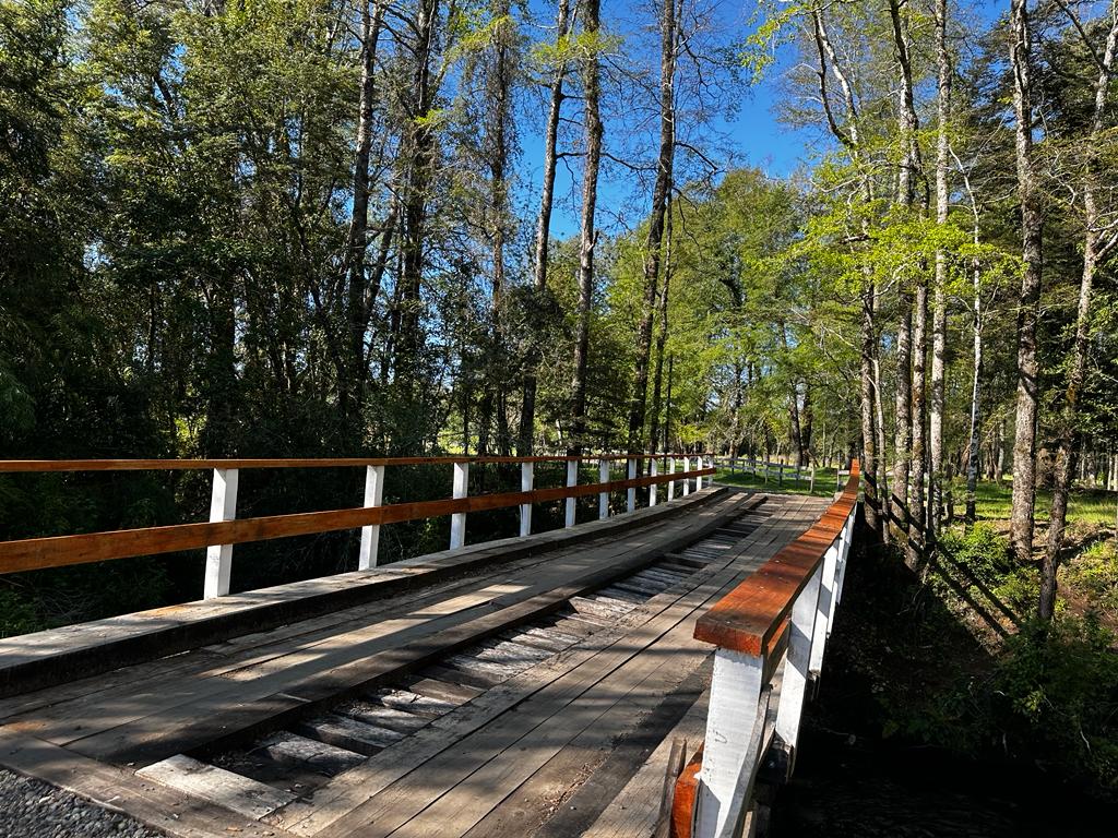 69c86a84-173c-419f-bb23-322621a3dec5