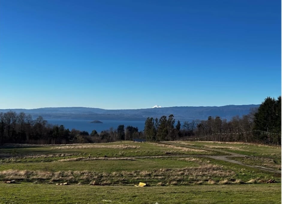 7e6db866-4a74-4cd5-9690-525d9a65e5be