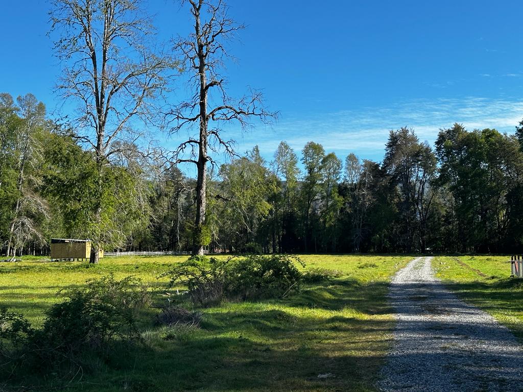 8530c7ef-6d99-4c71-bbb6-0df46da60b2b