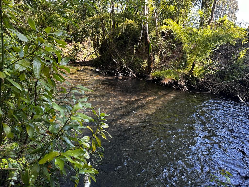 95ed403f-9902-43fa-a8fc-ab5c454ed001