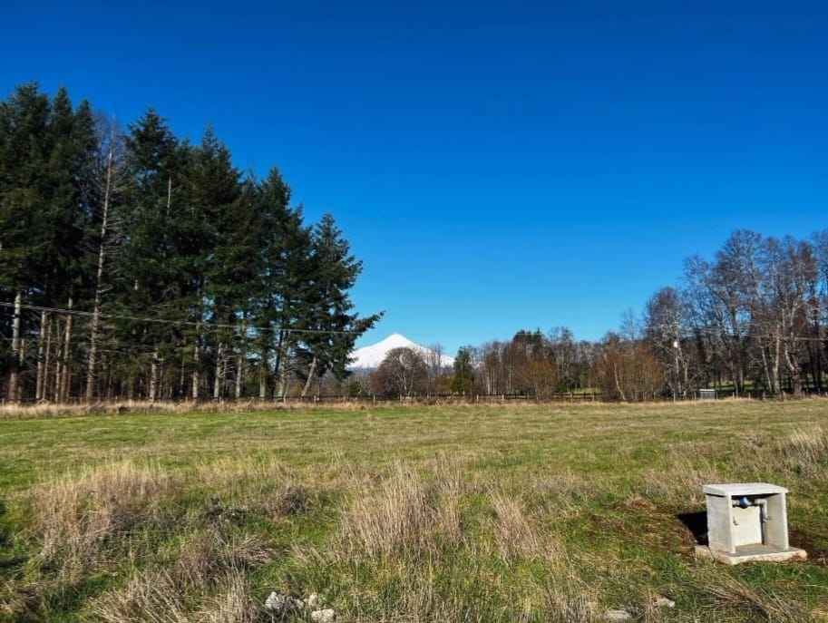 99291f57-a38a-411b-906c-ec05de417a00