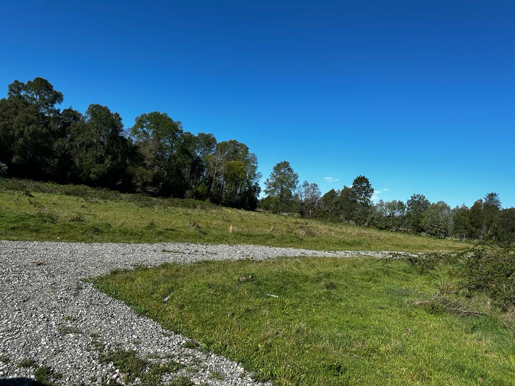 a51086d9-0352-44ad-952c-8a783fec7c2f