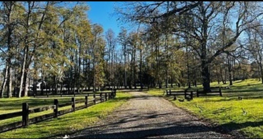 afadbb86-3e43-4282-bb65-dfe690507072