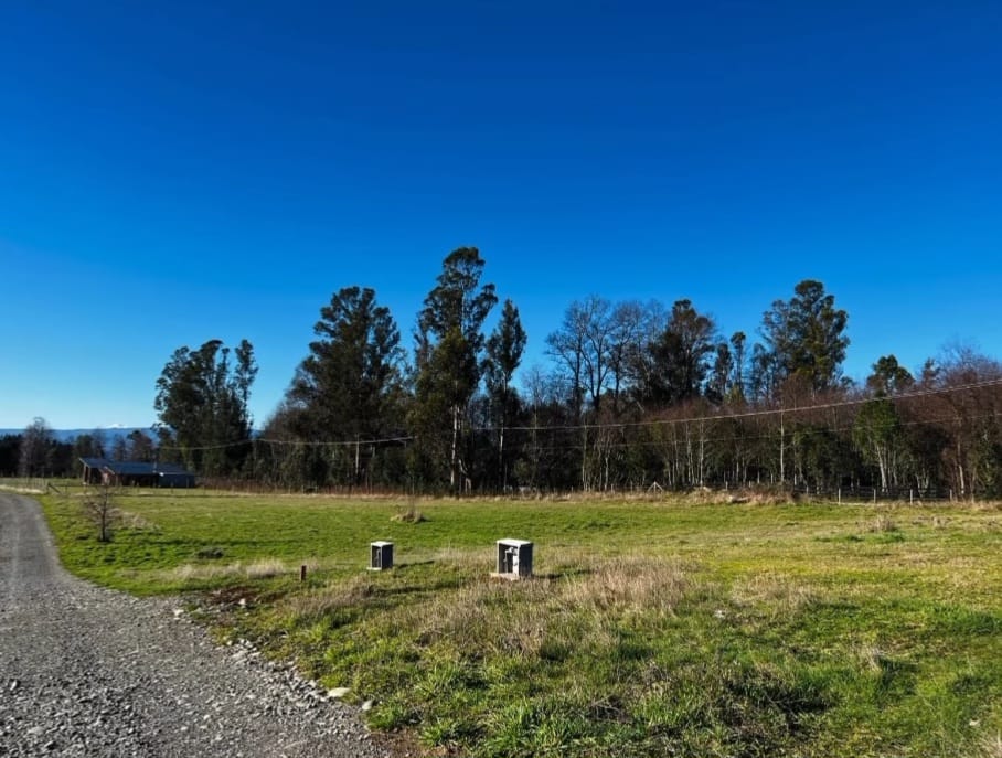 b391f6a0-6f11-47d5-b919-d229529d17e1 (1)