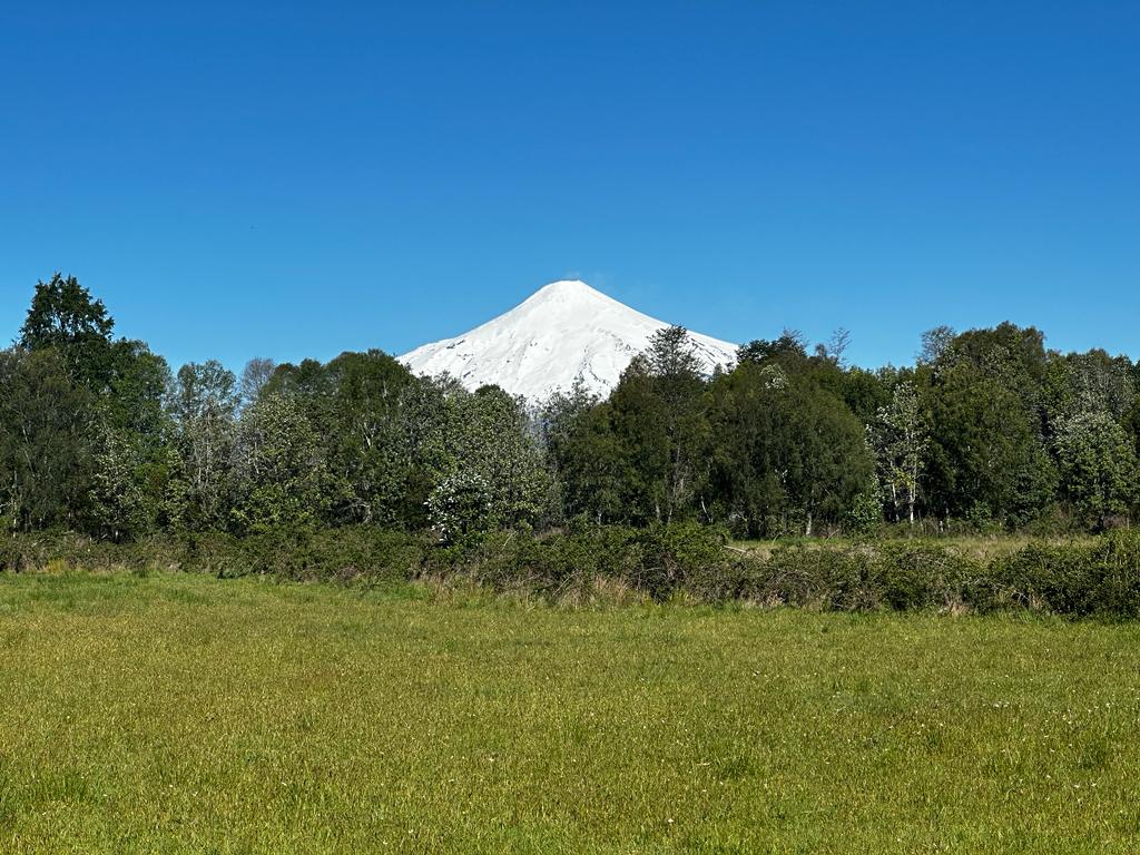 b5f16eab-9968-40c6-a99e-f1c386ccc798