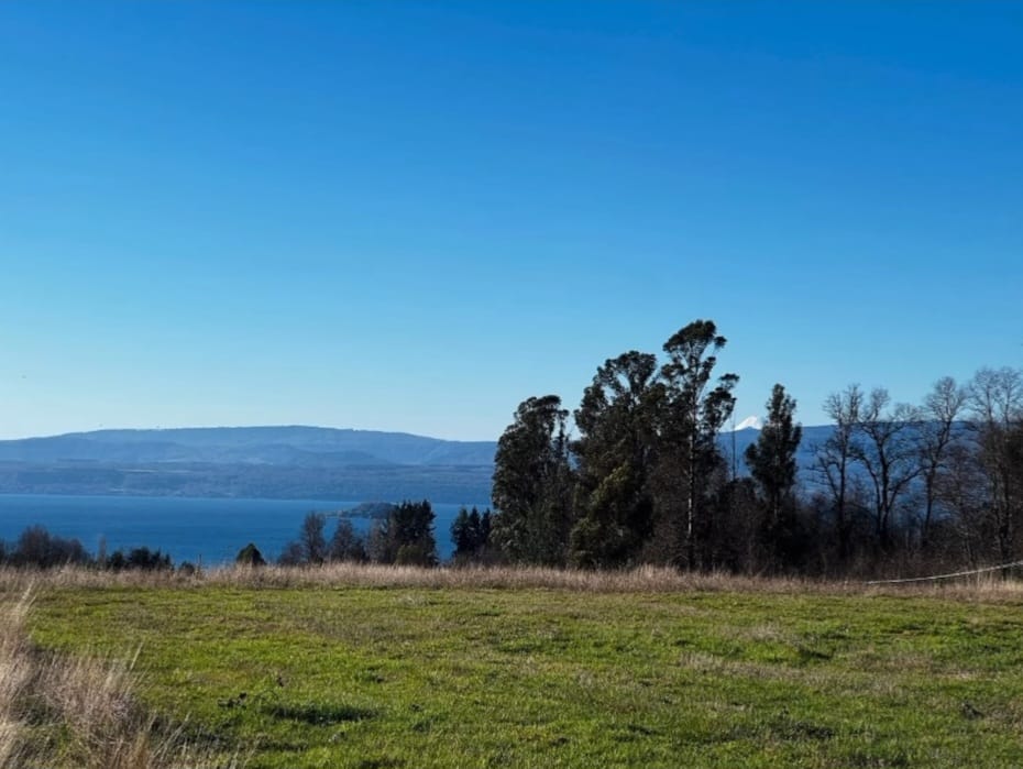 c33d7216-40a1-4d82-812a-2a25d2e0c945