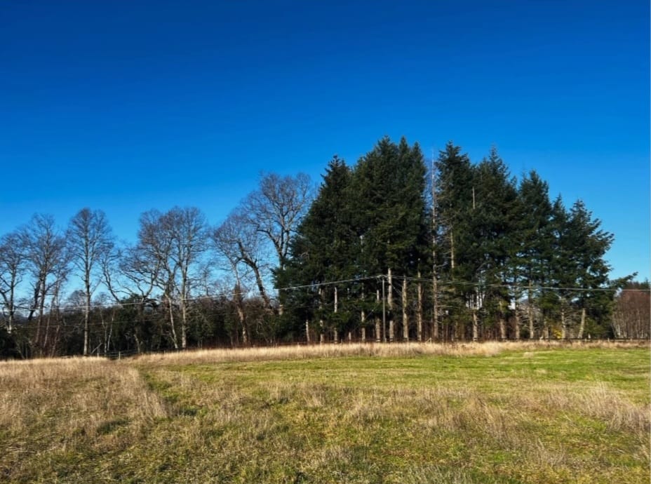 c98f2354-bebe-493d-9a39-7d1ab5fe53bd