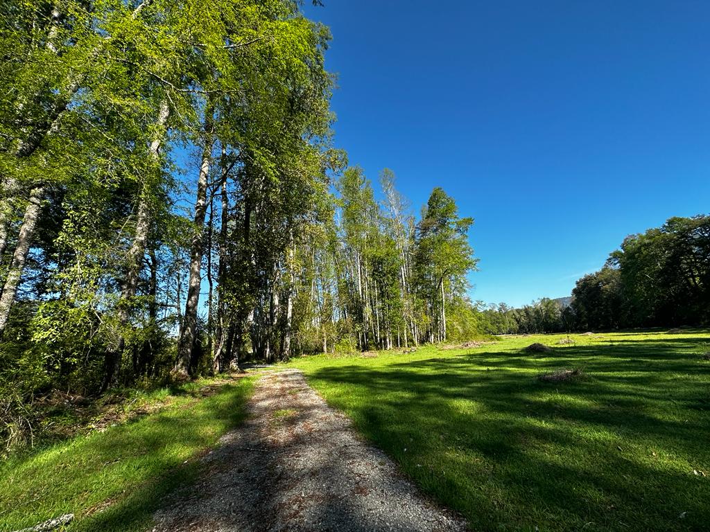 ccefbf63-0098-452a-820d-103ba761f1ef