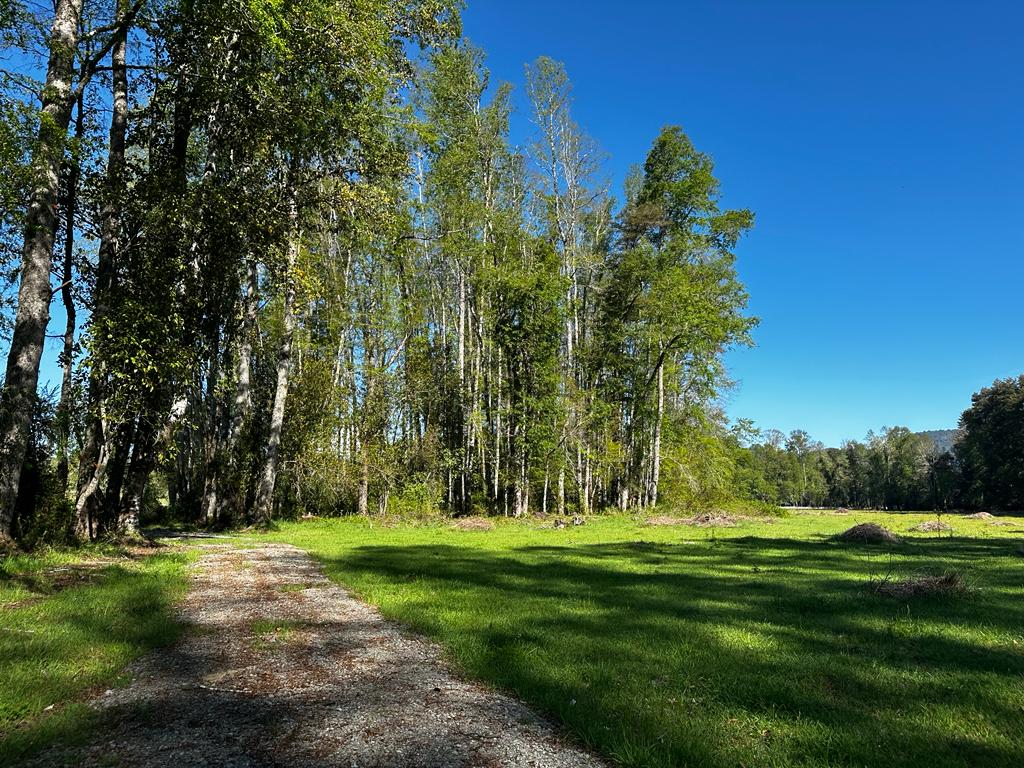 d13981fc-2a99-46de-b82b-3636c048768b