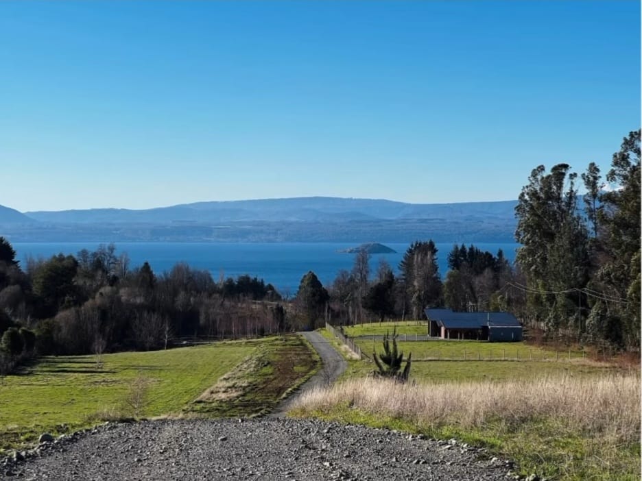 d260561d-7e4d-4f26-938d-a887b97767ec