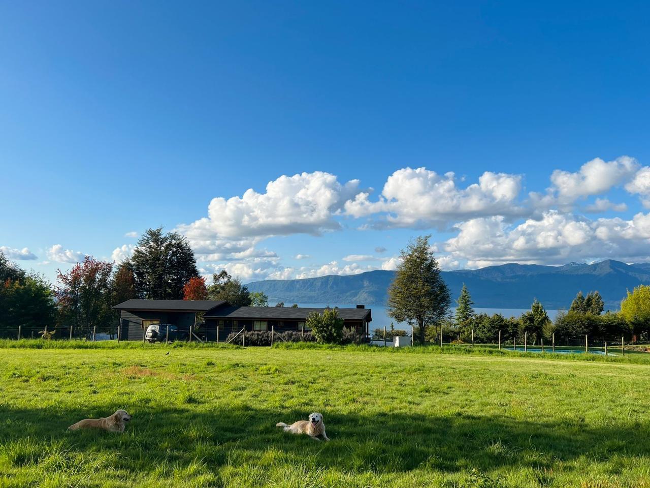 208d8e7a-565b-4b44-a76a-21828fe18f95