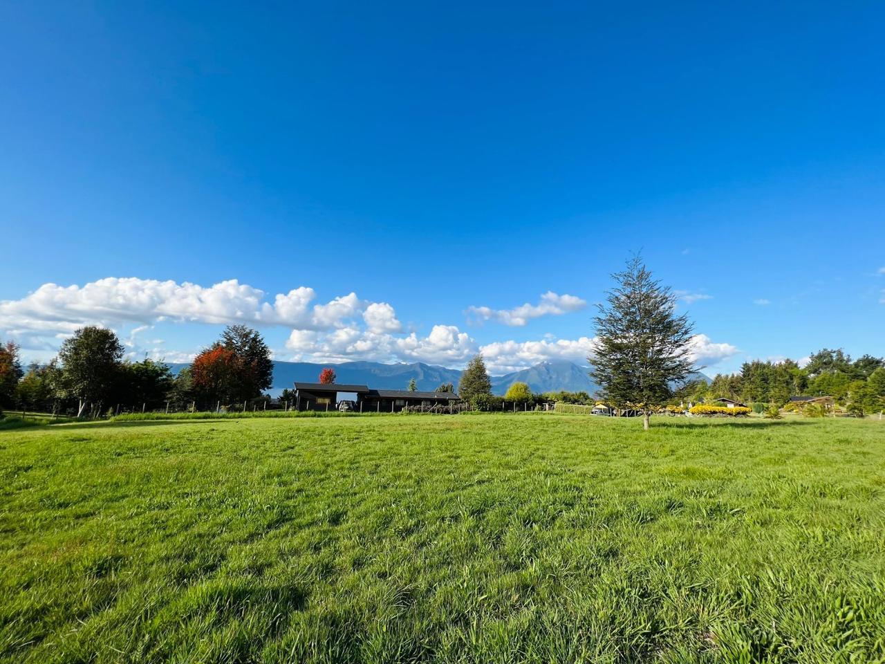 3ae1674d-029e-4ae3-a4bd-91fac340e09f