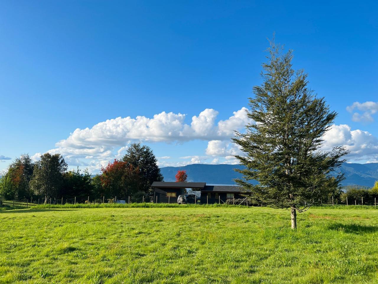 52ac86a6-f2b6-449a-8d41-b1480e6ab6e2