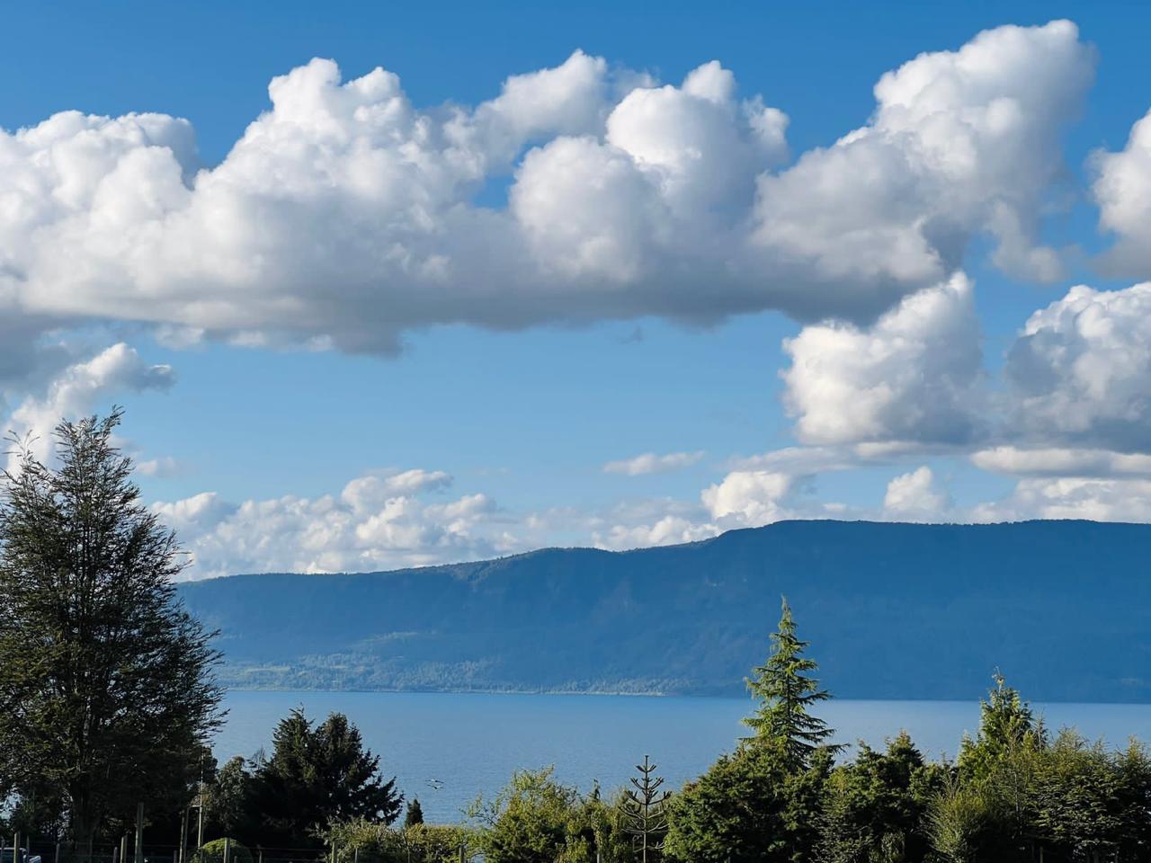 5da58aff-a32c-4ee8-8b19-03353caf0b9d