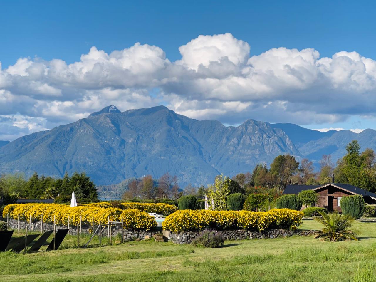 6ed11eae-5e5a-4d86-a9fb-a410c04f9214