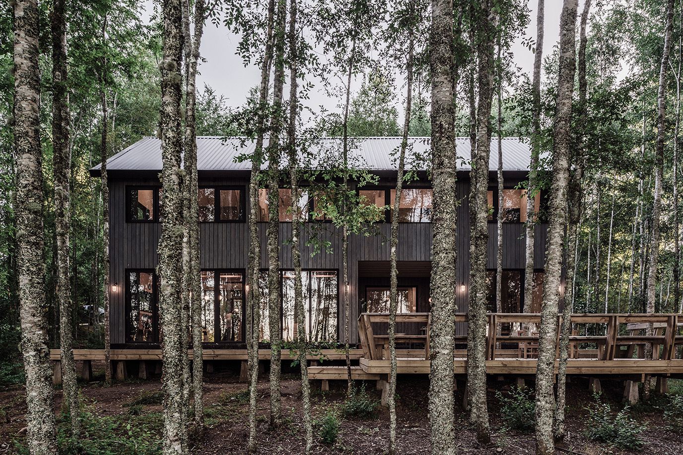 707caa4a-c5c5-4e3e-b51d-81283c3da856