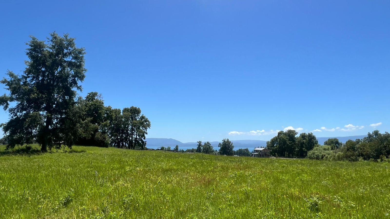 165615aa-0dd8-4fa3-adfc-c4566614b5ed