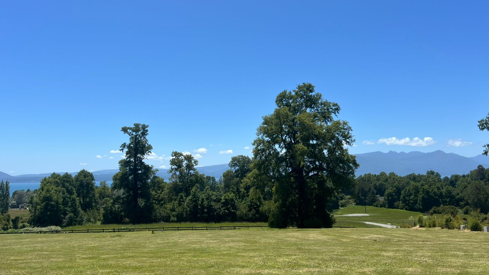 4eff002b-fd53-4e46-a309-775807e654ed