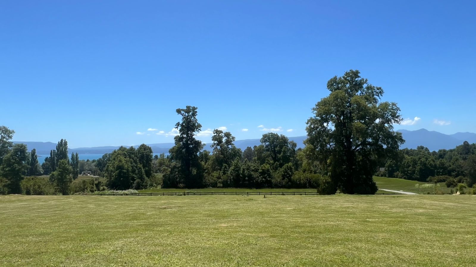 625118f6-3bd9-4718-8059-aae851d82b2f