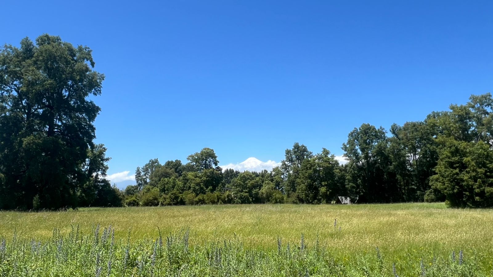 70354cd5-14eb-46ec-8fbb-db6db5d2f8ba