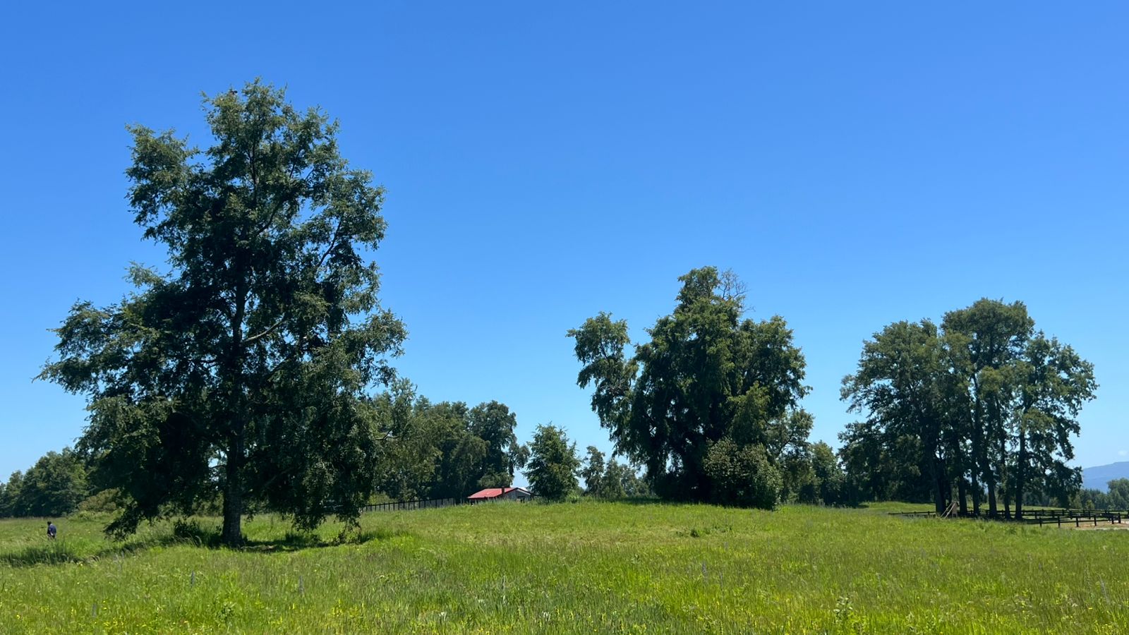 8412d4a9-feba-43aa-8d38-7f55efd61a8b