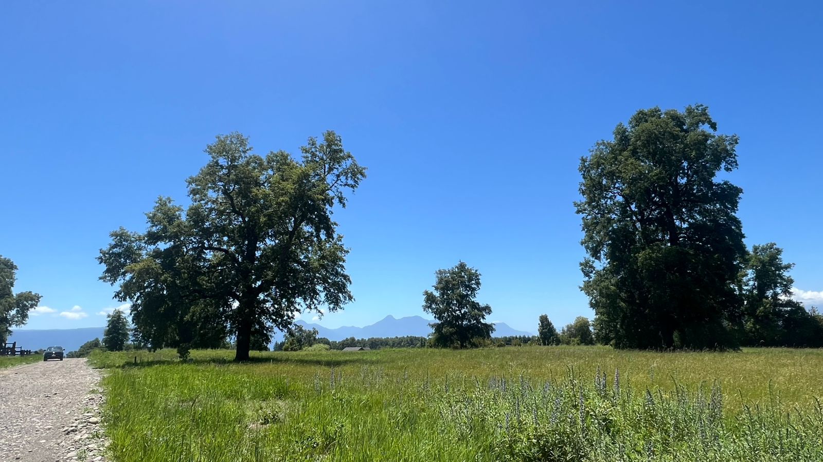 8b53f0a0-da62-4ace-b1e2-dd82d4b2c306