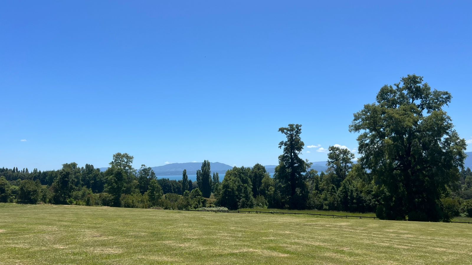 8fcba5ef-84cb-496d-9480-37f679ee821a