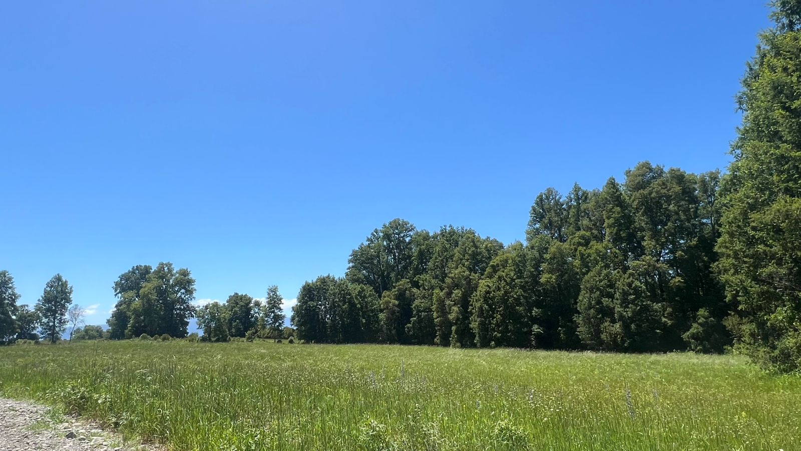 91ec823e-4353-449f-b6c8-721d0b3d6566