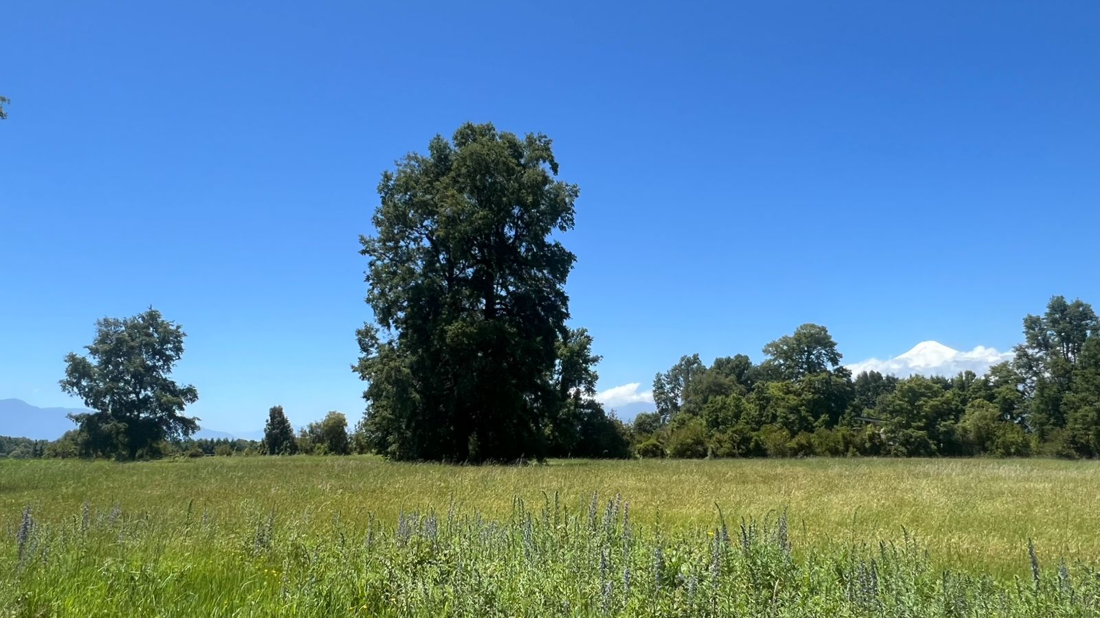 920e99a8-03e5-4b6d-ad0a-41c22bbfd06c