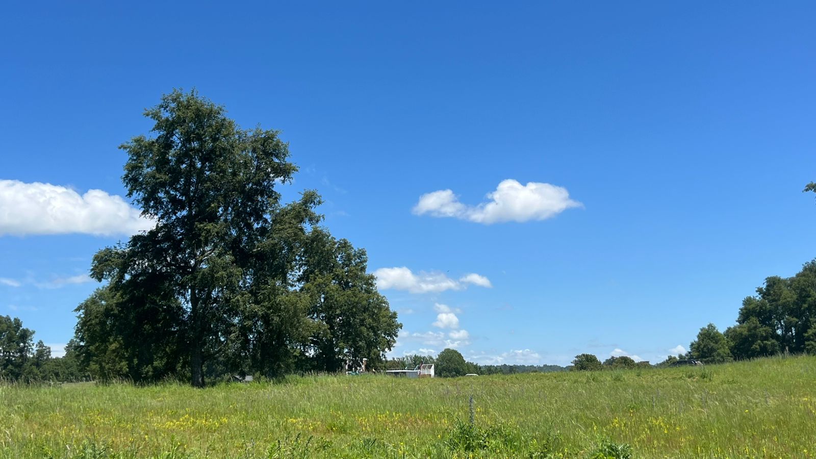 d0a4789f-63aa-40e1-a441-c401e3c1c615