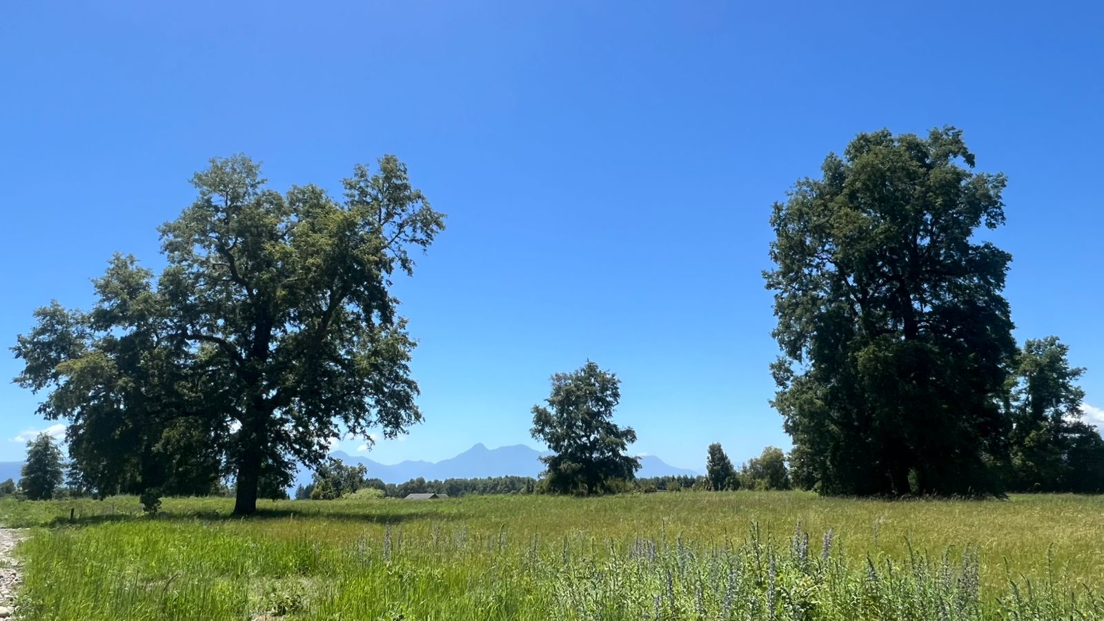 f63a3d84-b069-46b4-99b2-3c8ae83baf4d