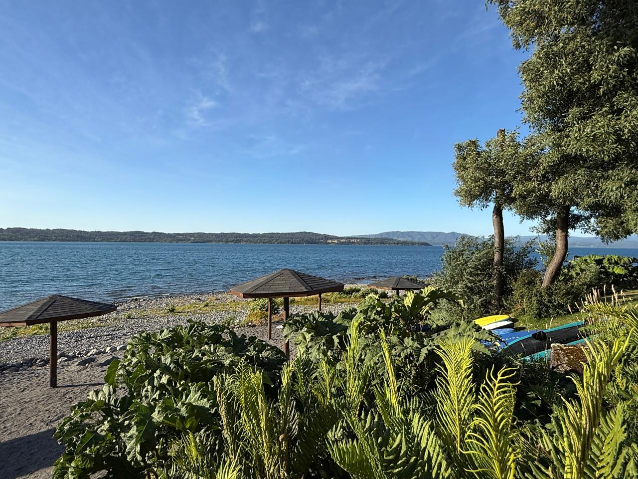 9b759dfa-04f4-4d51-a8c7-9ec2d0bfcb18