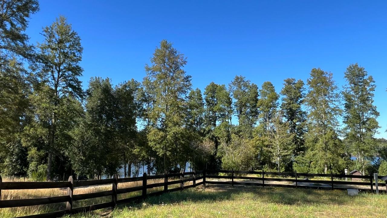 WhatsApp Image 2025-03-17 at 22.59.42 (1)