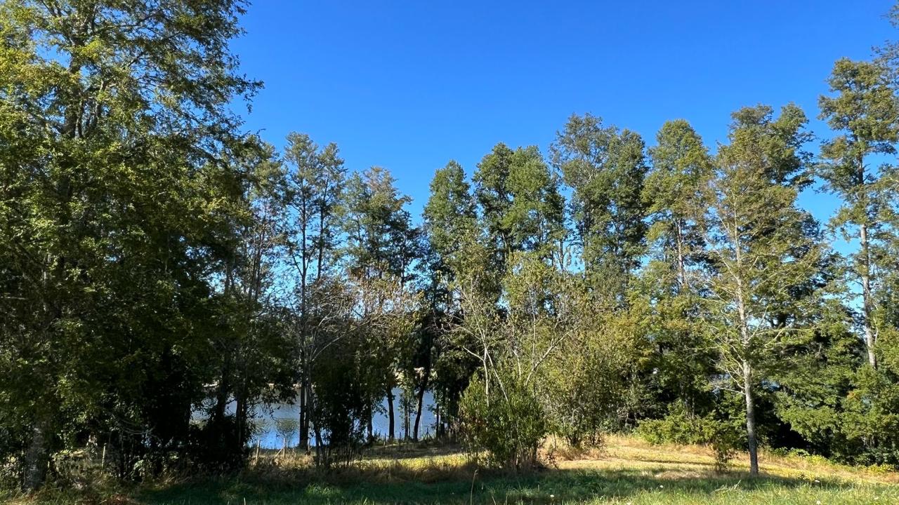 WhatsApp Image 2025-03-17 at 22.59.42