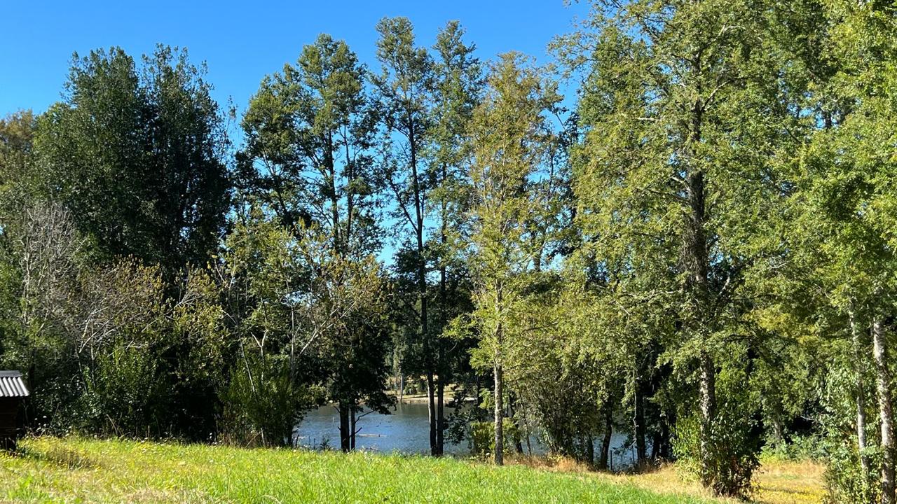 WhatsApp Image 2025-03-17 at 22.59.43 (1)