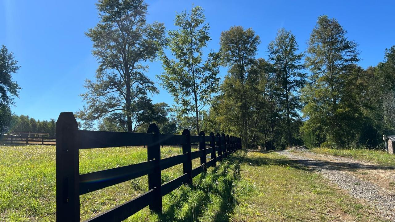 WhatsApp Image 2025-03-17 at 22.59.43 (2)