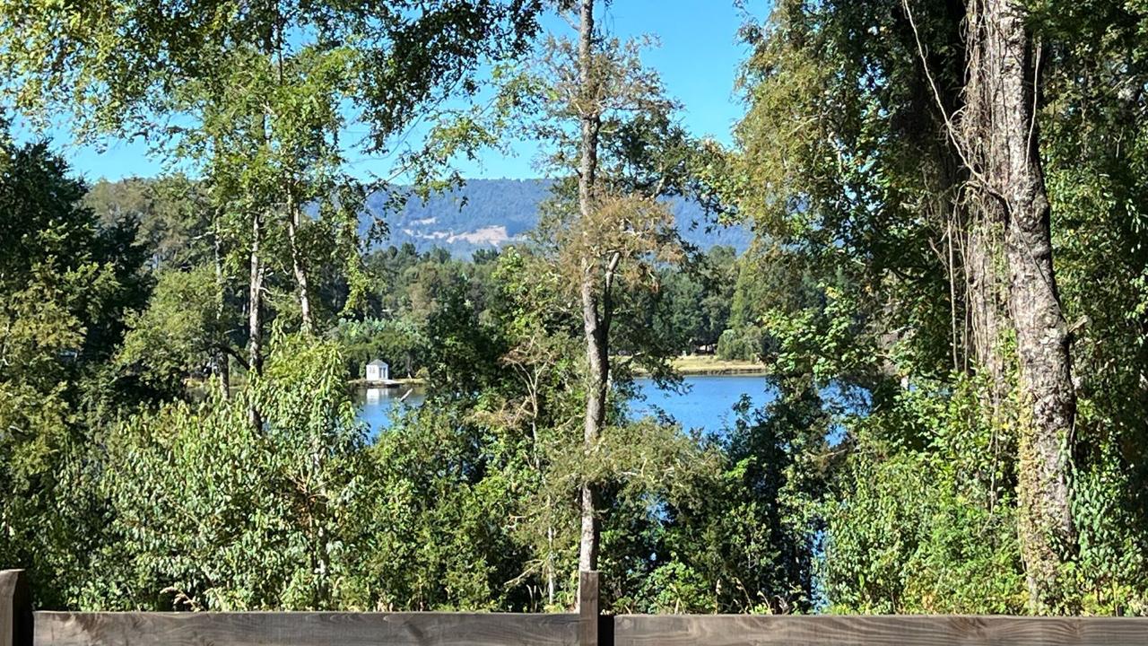 WhatsApp Image 2025-03-17 at 22.59.44