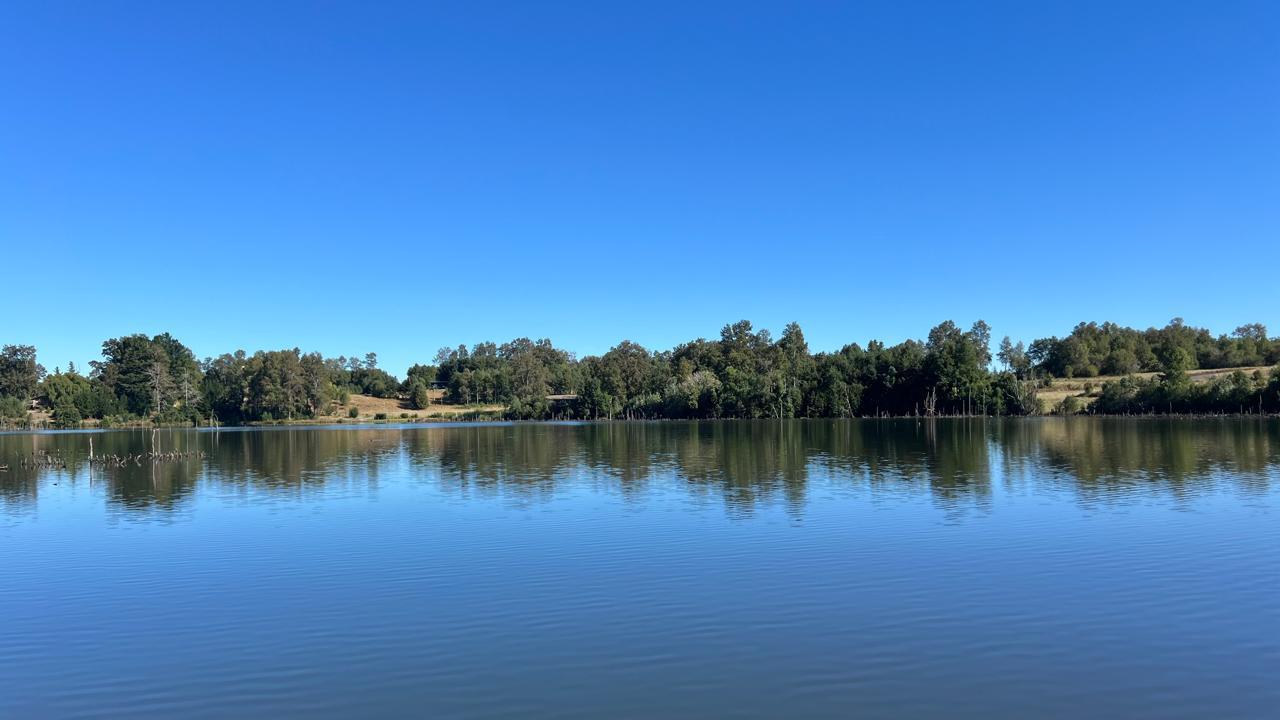 WhatsApp Image 2025-03-17 at 22.59.56 (1)