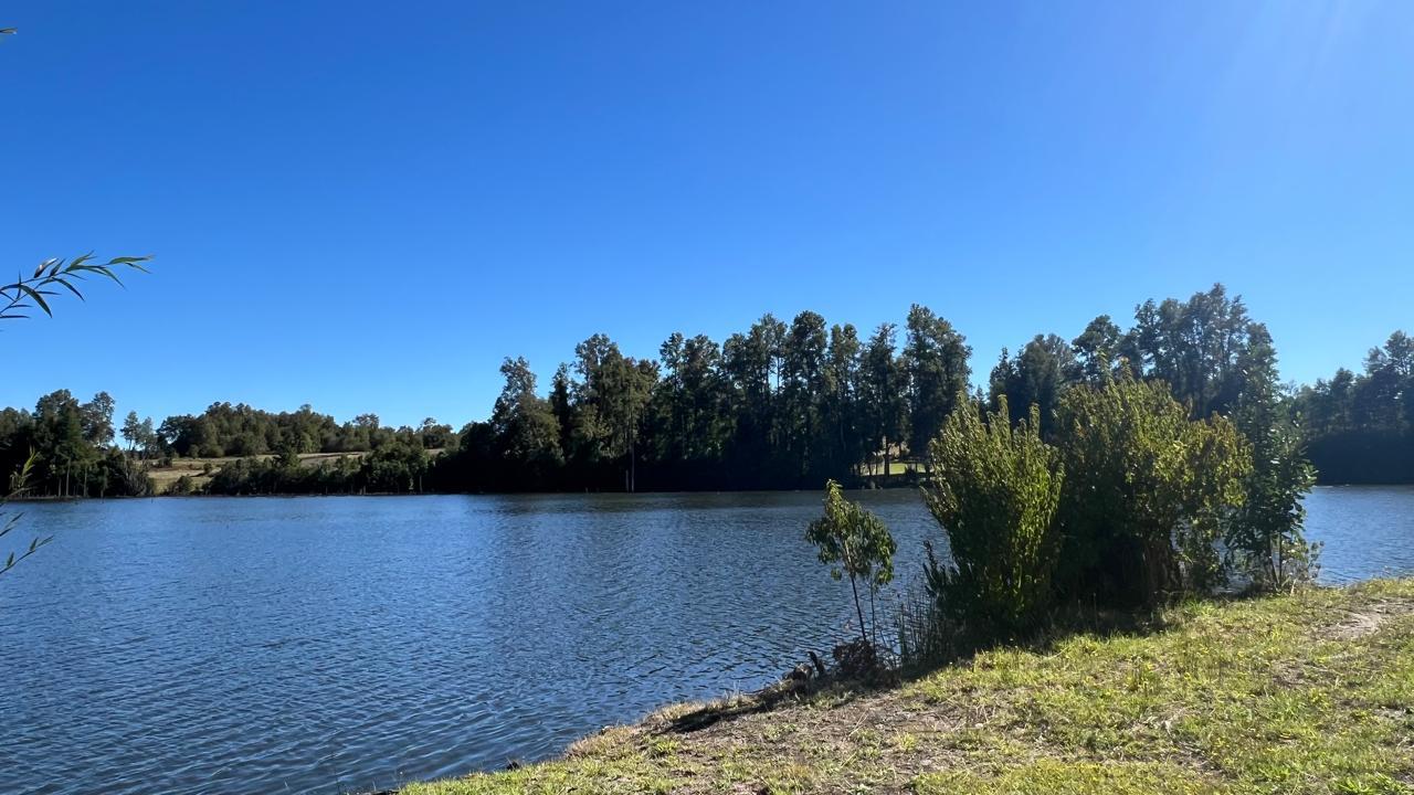 WhatsApp Image 2025-03-17 at 22.59.57 (2)