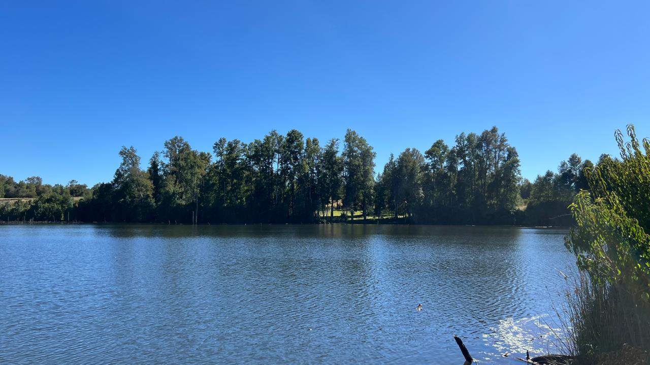 WhatsApp Image 2025-03-17 at 22.59.57