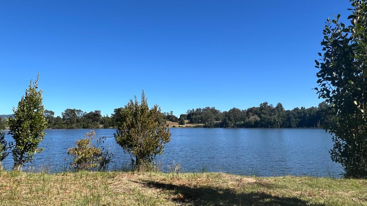 WhatsApp Image 2025-03-17 at 22.59.58 (2)